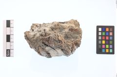 Foto von Kerargyrit (NHMW-MIN-Ad260)
